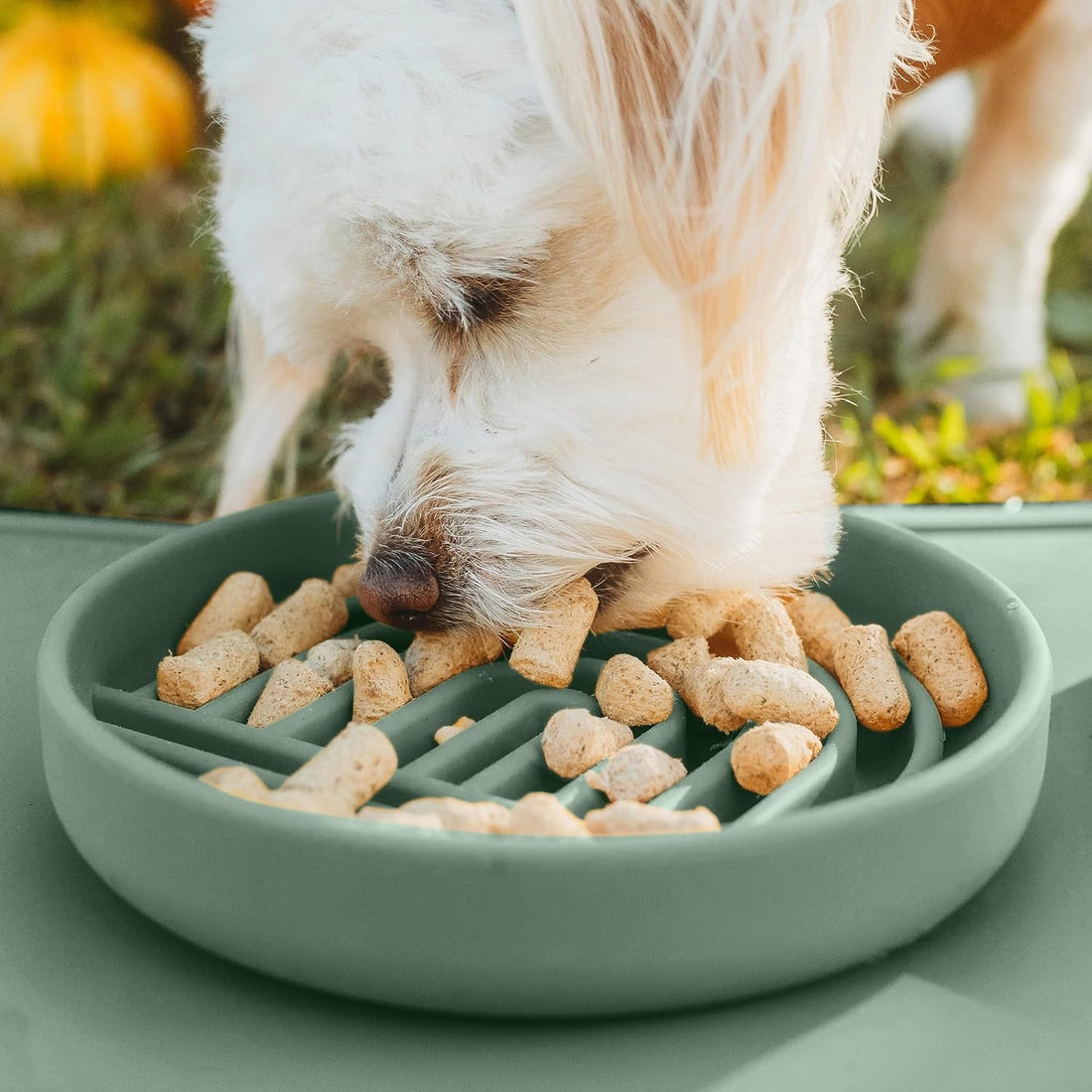 Slow Feeder Dog Bowl - Silicone Dog Bowl, Small, 6" x 1.25"