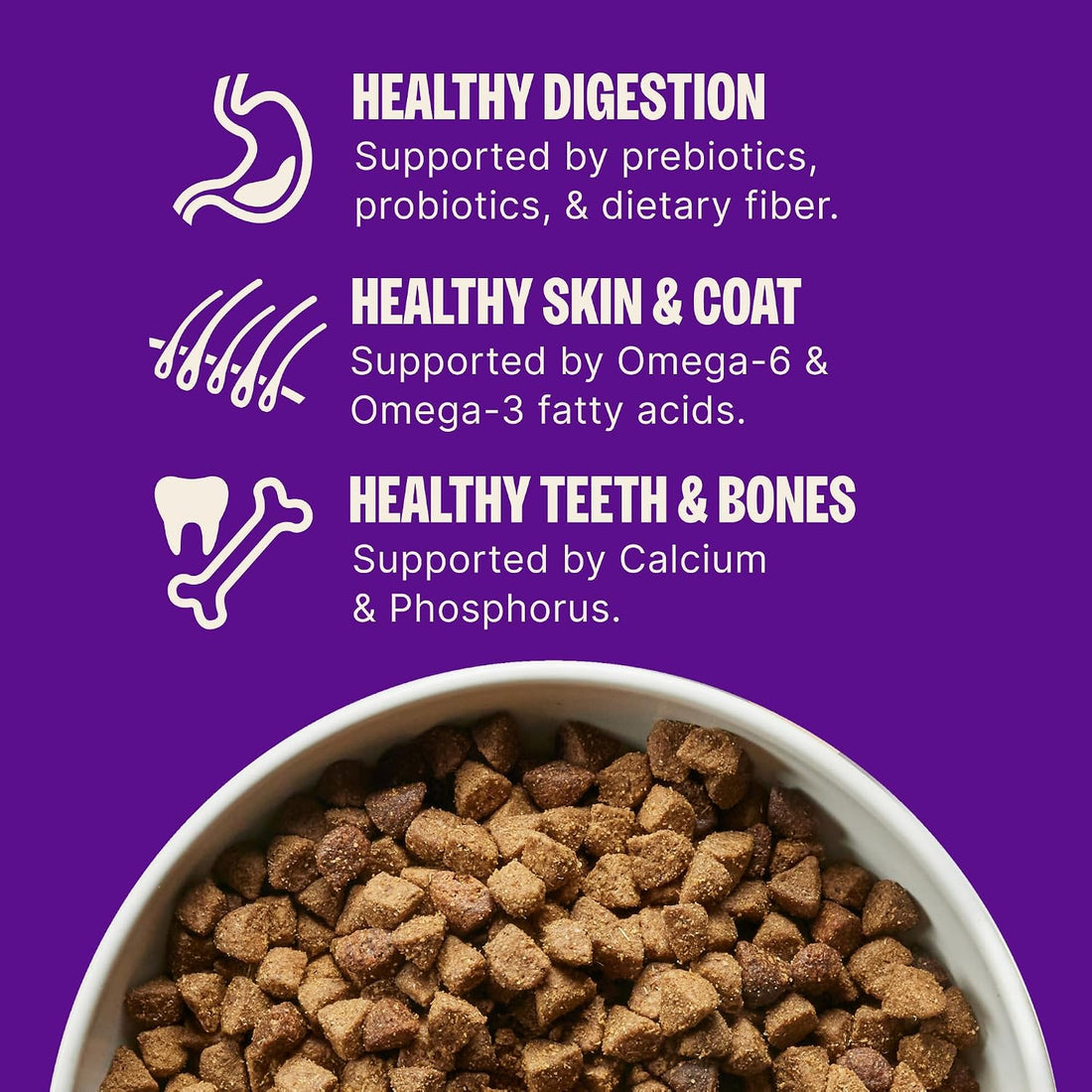 Wellness Complete Health Adult Dry Dog Food, Wholesome Grain Kibble