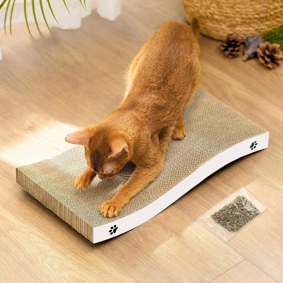 Cat Scratcher, Durable Scratch Pad