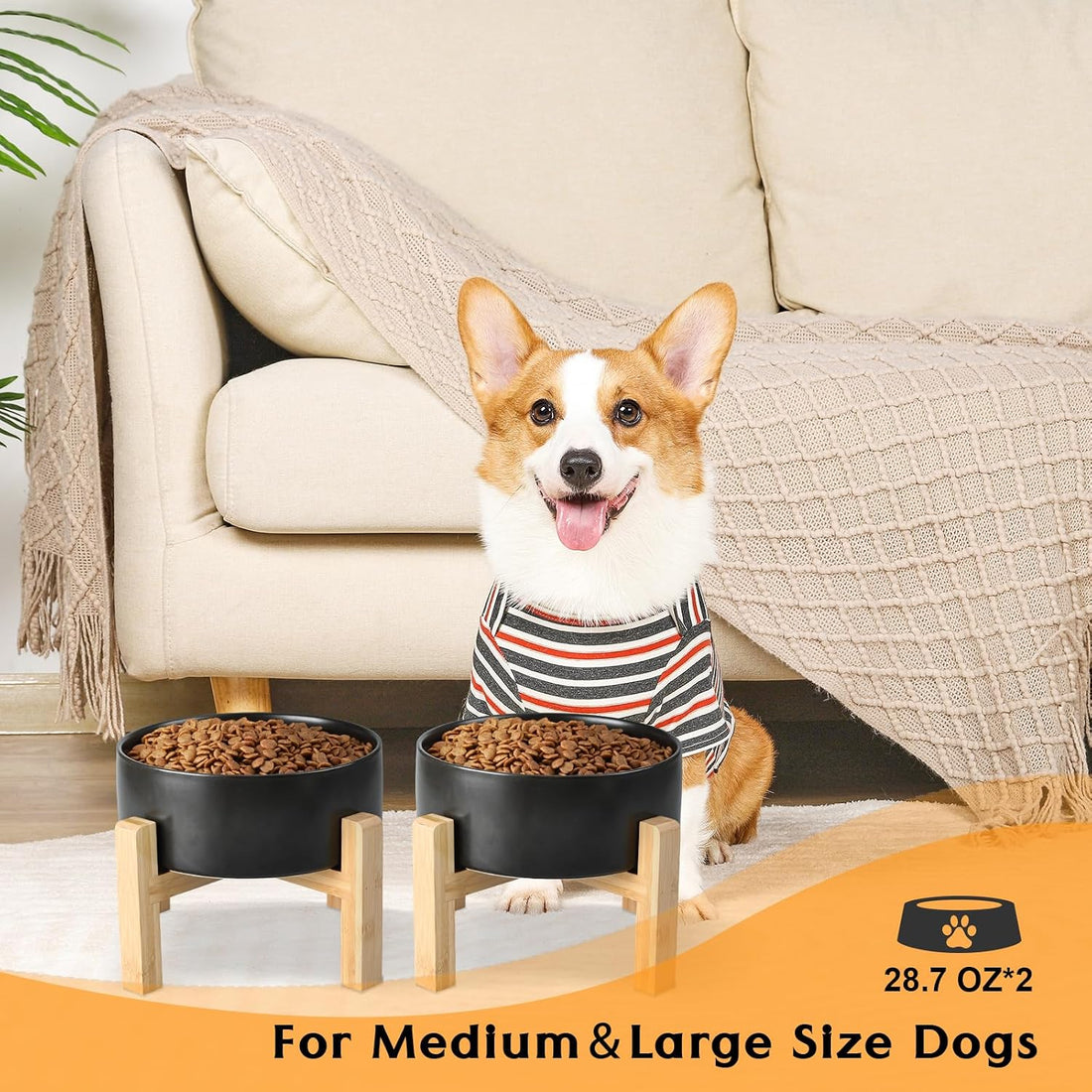 SPUNKYJUNKY Ceramic Elevated Dog Bowls 2 Pack