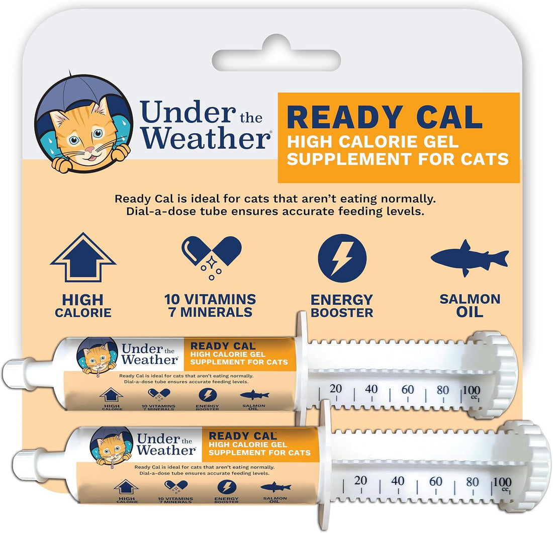 Under the Weather Pet Electrolytes Ready Cal Plus Gel for Cats