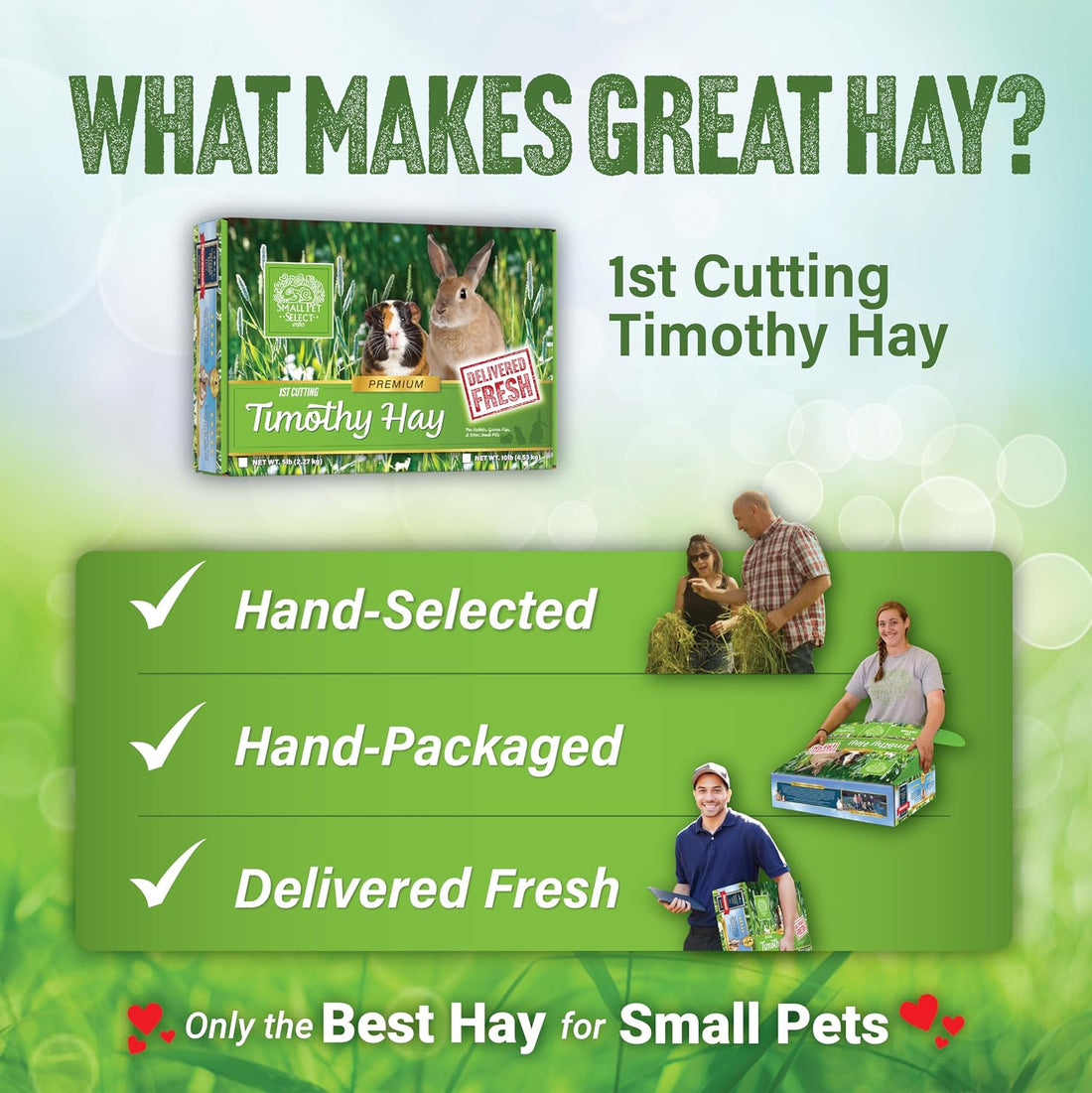 Small Pet Select 1st Cutting Timothy Hay for Rabbits & Guinea Pigs
