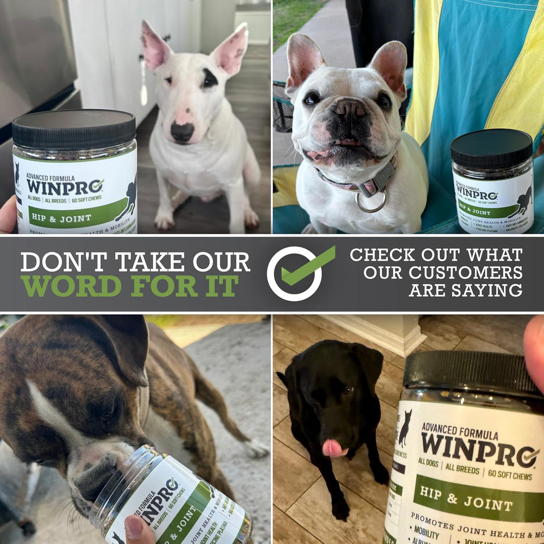 WINPRO Hip & Joint Supplement for Dogs