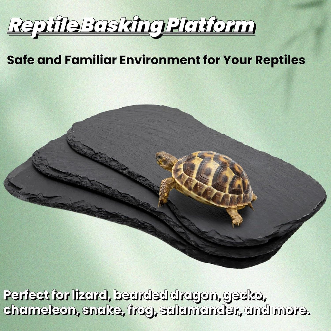 Tlence 3 Pack Reptile Basking Platform
