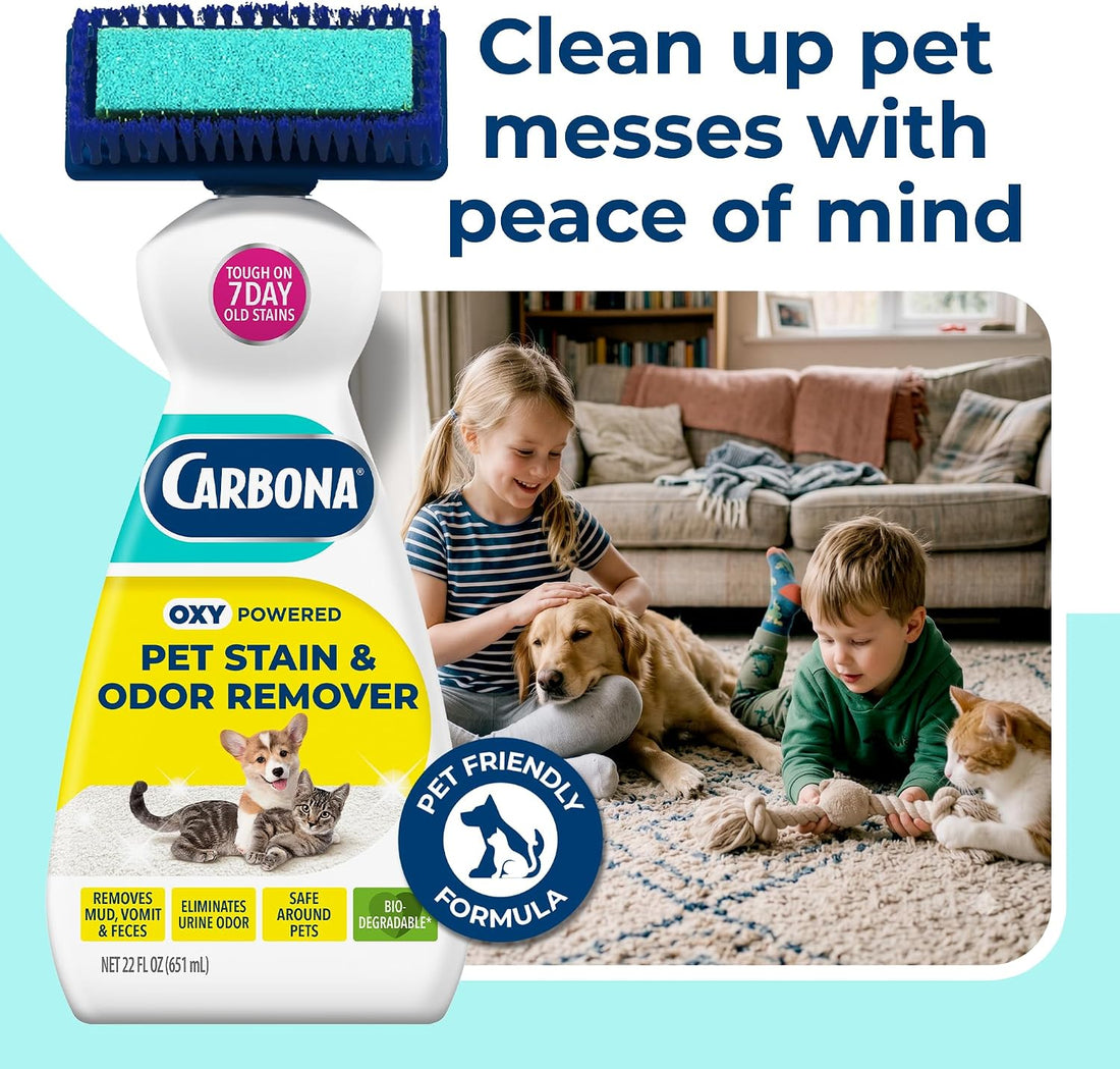 Carbona 2-in-1 Oxy-Powered Pet Stain & Odor Remover, 22 Fl Oz
