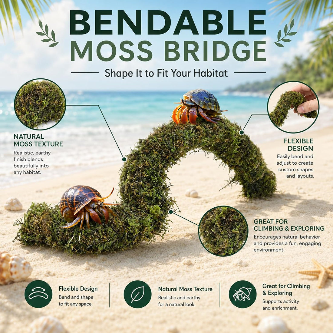 HERCCOCCI Hermit Crab Accessories