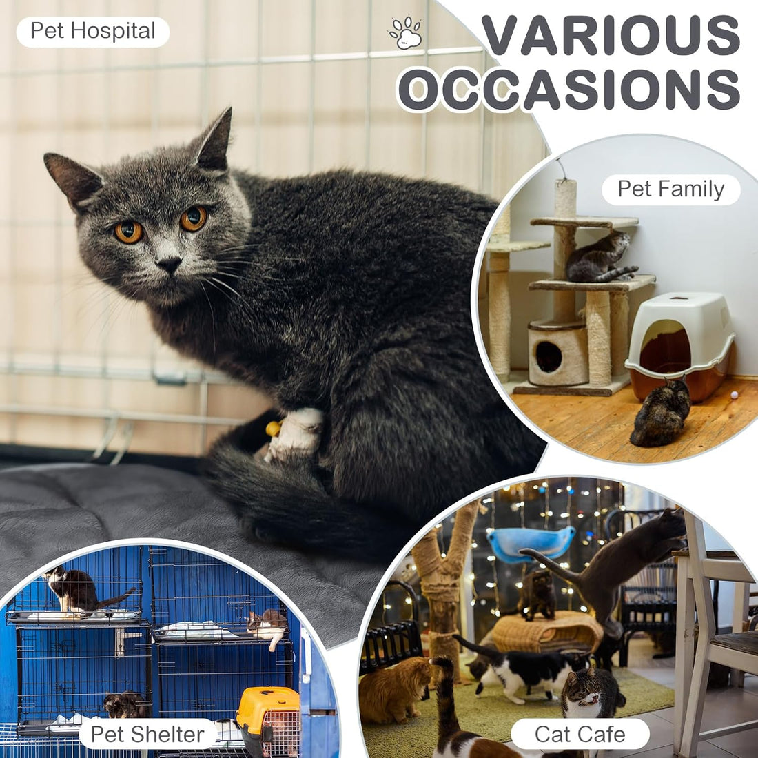 8 Pack Self Heating Cat Mat