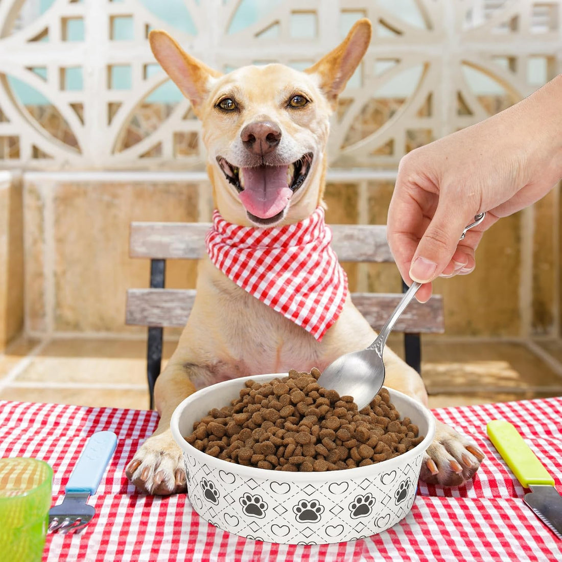 SOUJOY 40Pcs Disposable Pets Bowls, 16 oz Paper Dog Food Bowl