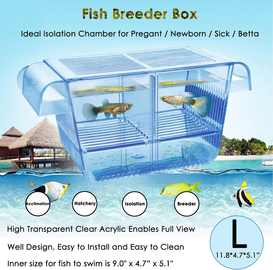 capetsma Fish Breeding Box, Acrylic Fish Isolation Box with Suction