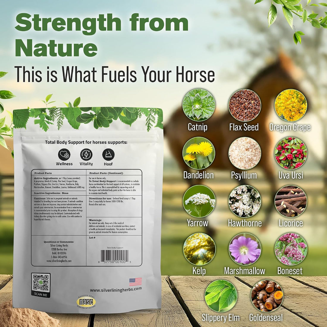 Silver Lining Herbs Total Body Supplement - Healthy Coat for Horses