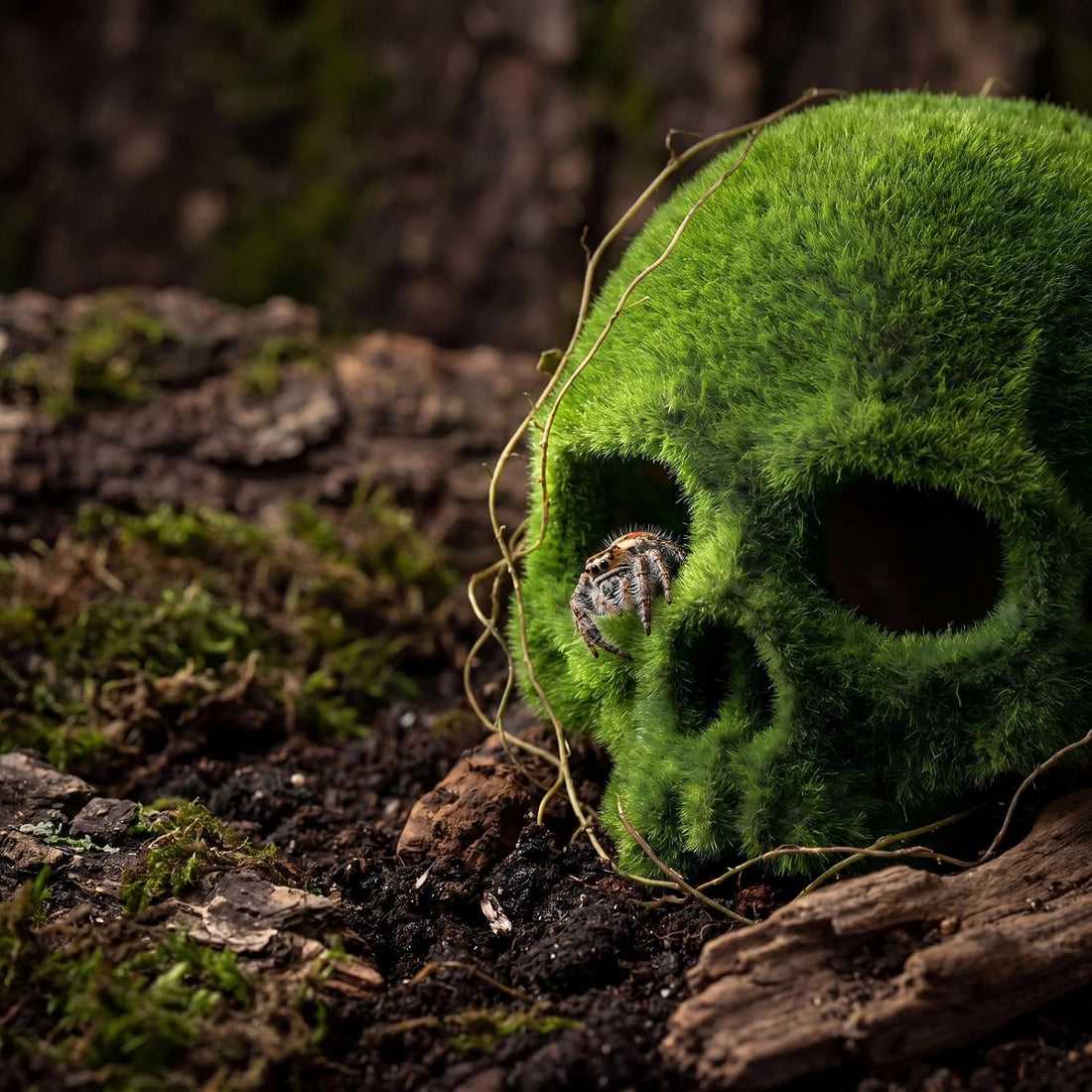 Mossy Skull Terrarium Ornament 4.5" Realistic Reptile Habitat Decor