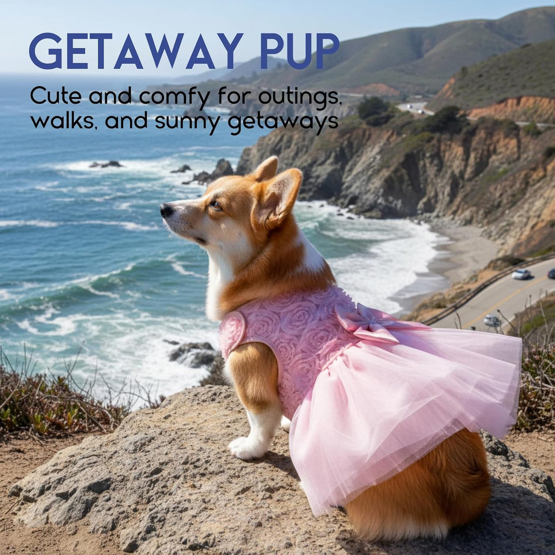 ASENKU Dog Dress Pet Wedding Dress Lace Puppy Birthday Party