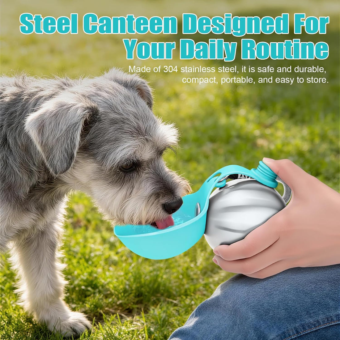 AOFANPET Portable Dog Water Bottle 10oz Stainless Steel Travel Dog