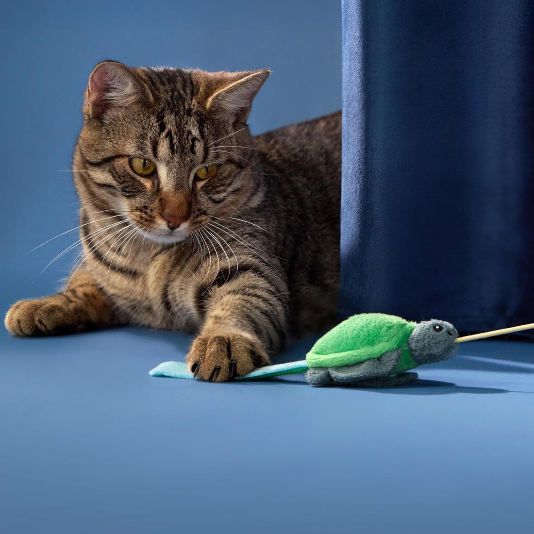 GRRREEN Cat Toys | Plush Turtle Teaser Cat Wand Toy