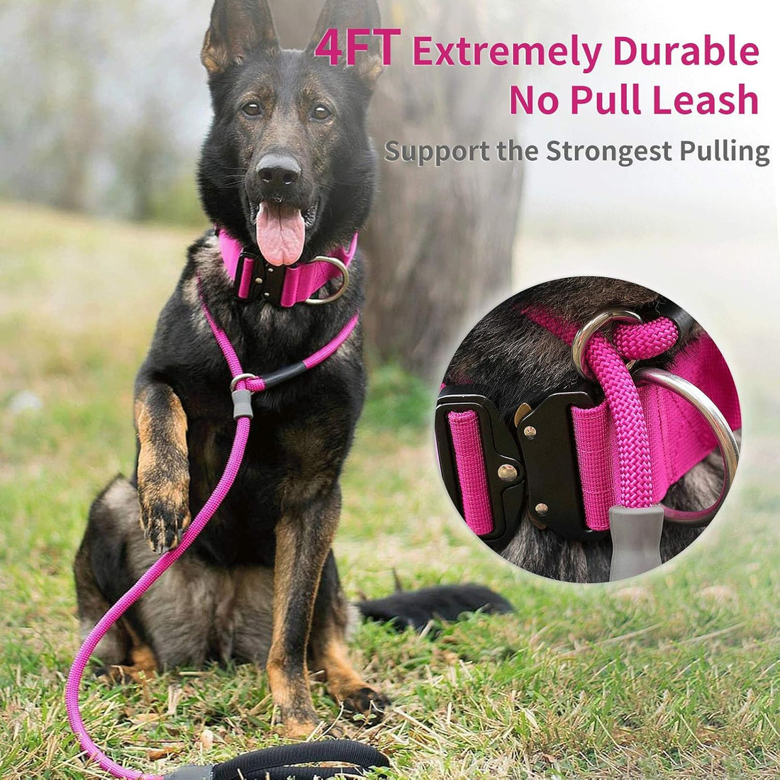 Strong Slip Rope Dog Training Leash