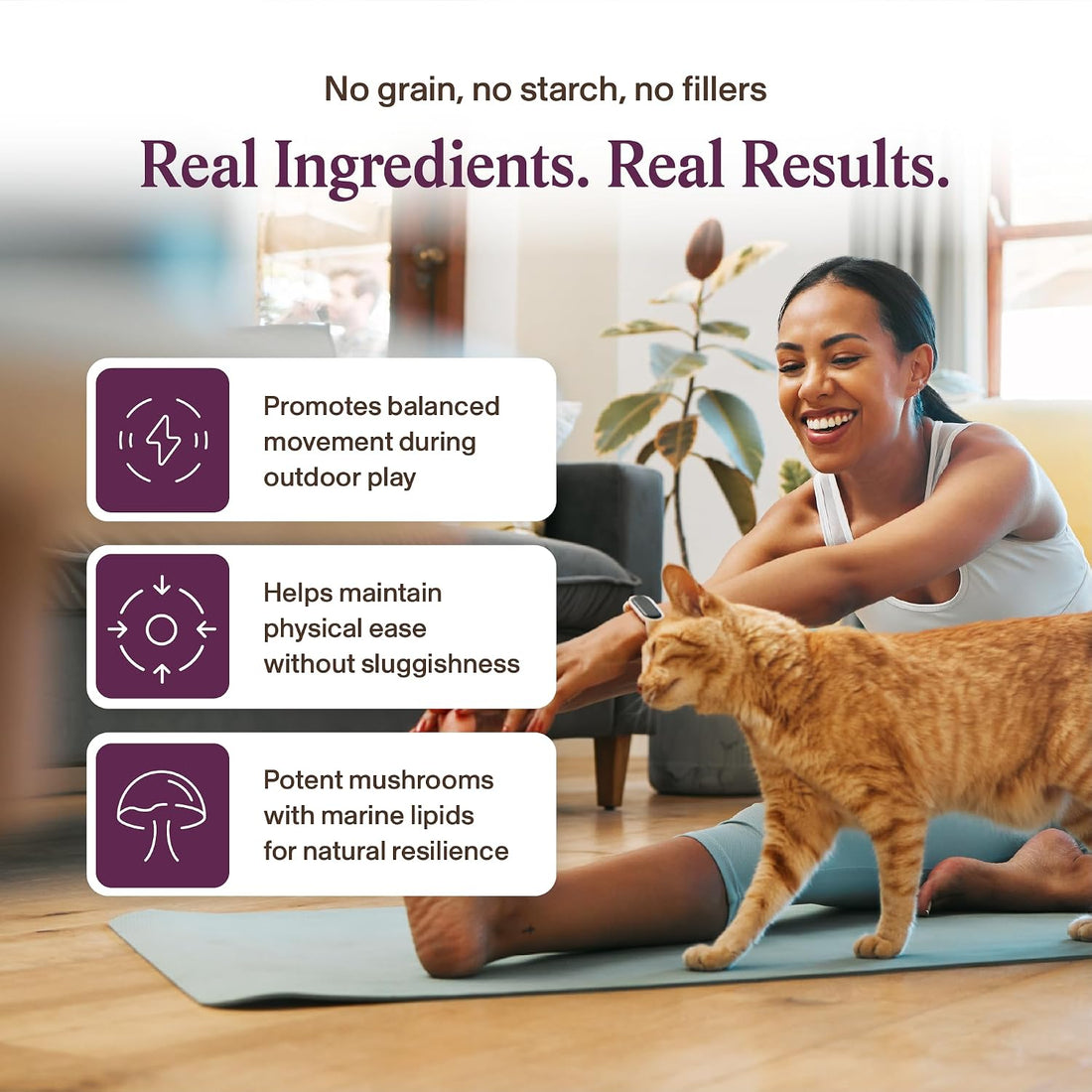 Real Mushrooms Pet Chews for Dogs & Cats