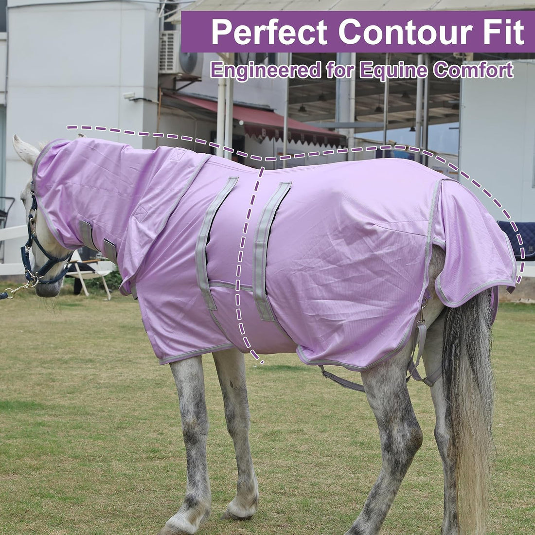 LEAFOREST Miniature Pony Horse Fly Sheet