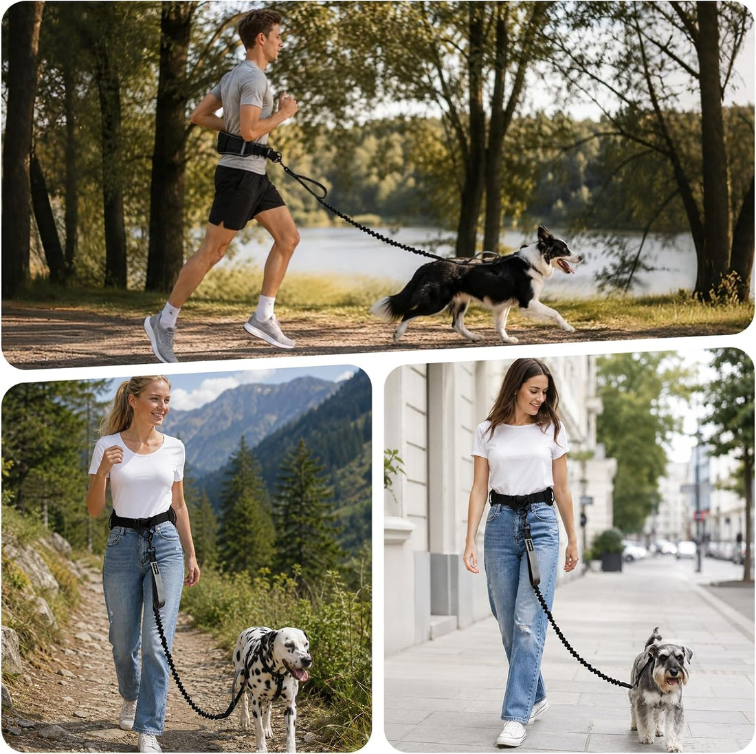Hands Free Bungee Dog Leash for Medium to Large Dogs | Wider