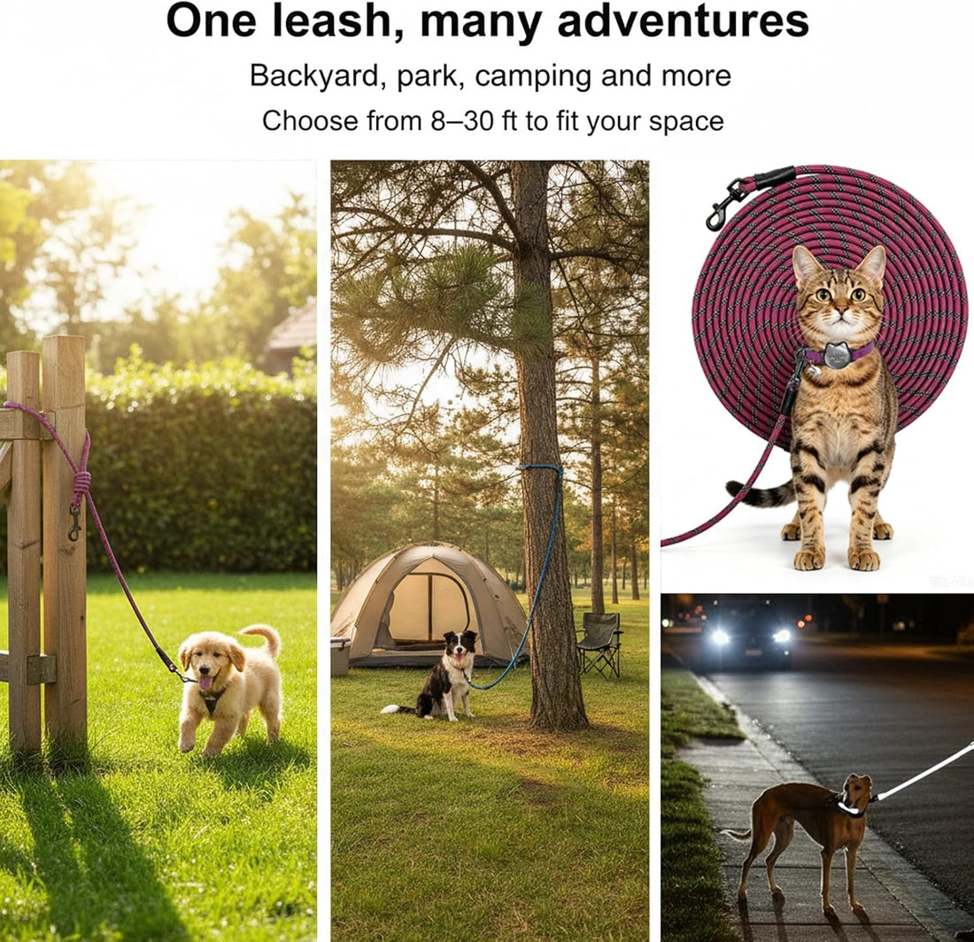 BTINESFUL 20ft Reflective Small Tie Out for Dogs up to 35lbs