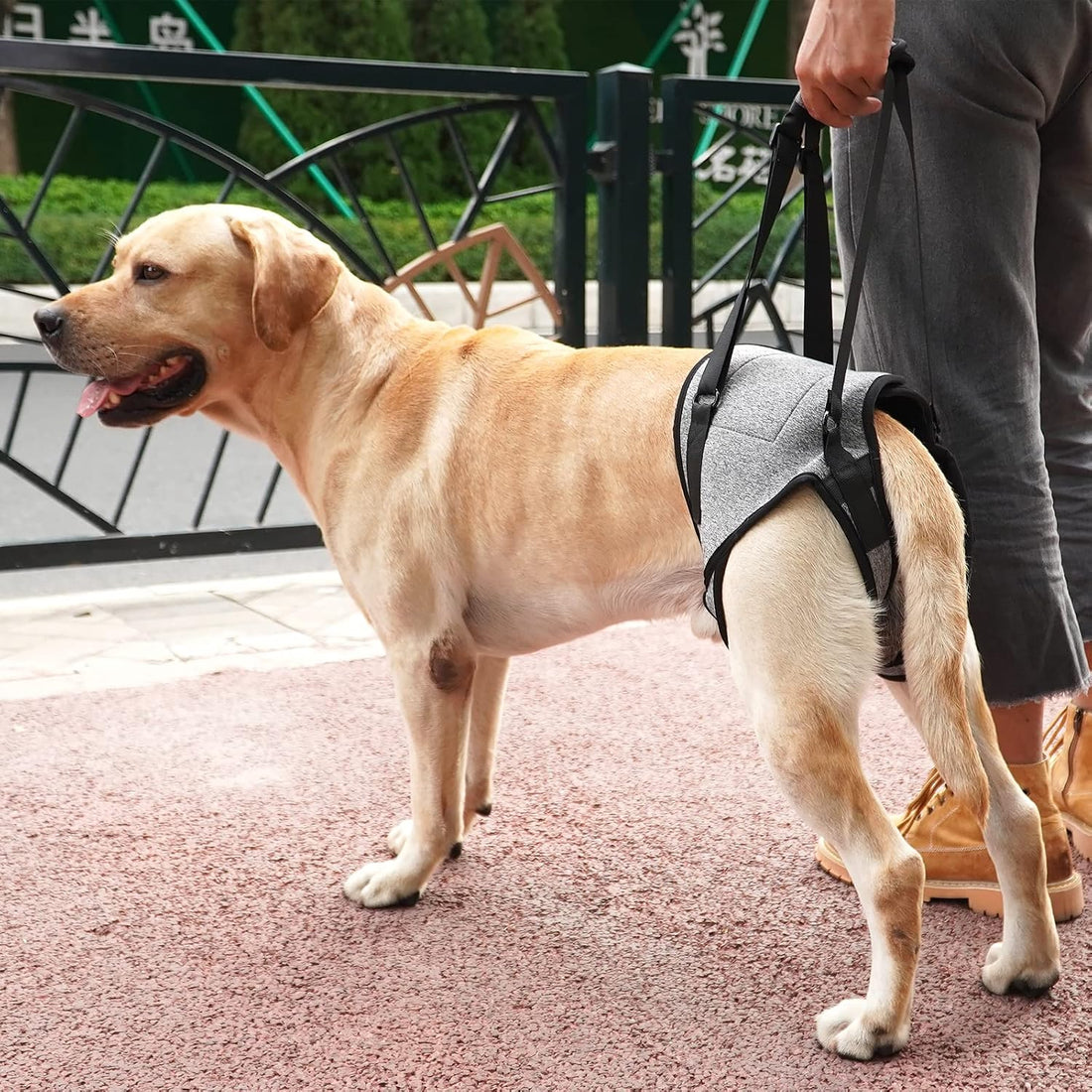 Dotoner Dog Sling for Large Dogs Hind Leg Support to Help