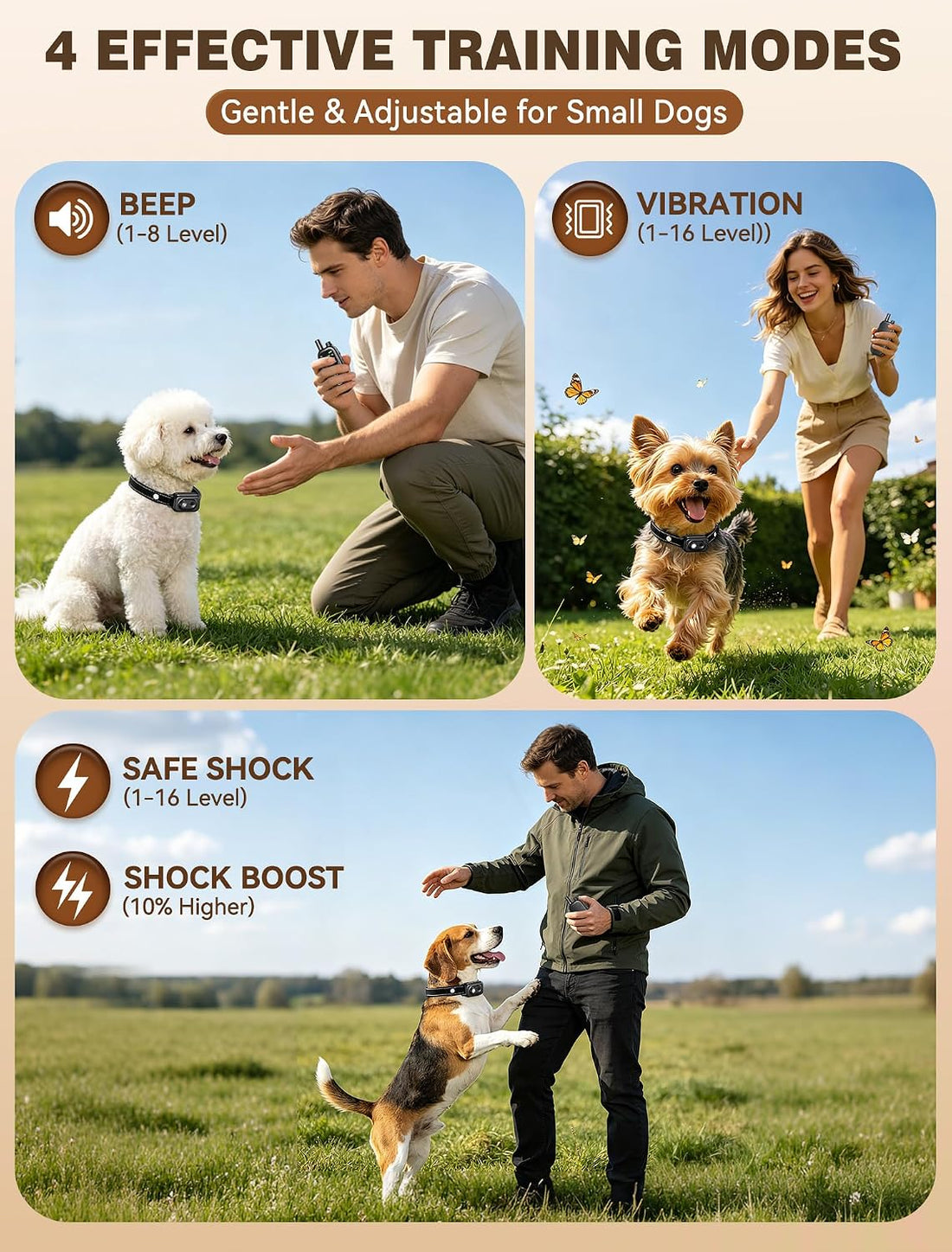 Small Dog Shock Collar with Remote