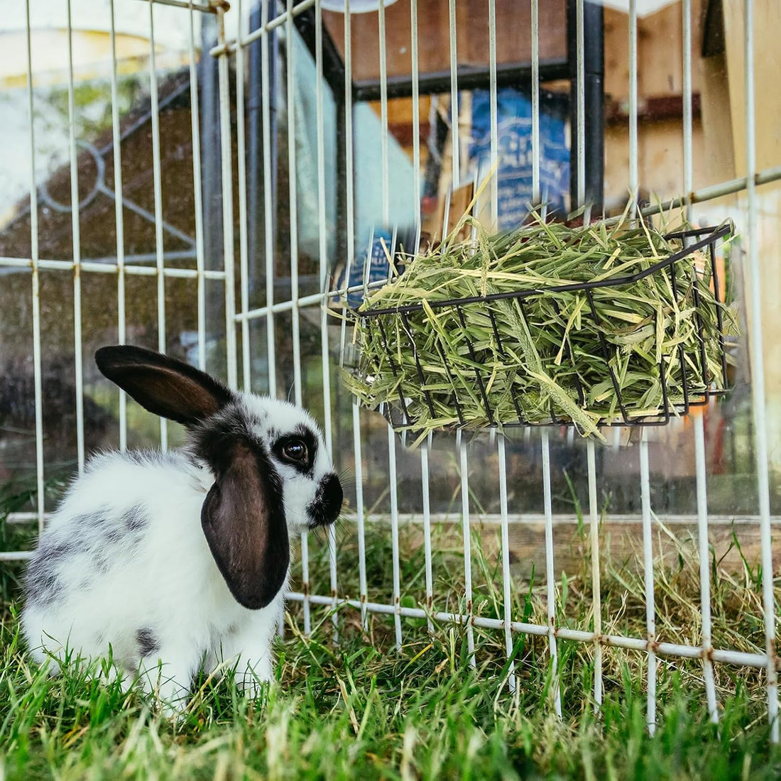 4 Pcs Rabbit Hay Feeder, Metal Rabbit Hay Rack with Hooks