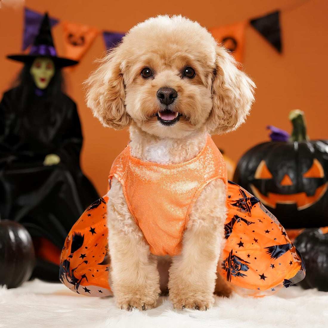 Dog Halloween Costume Dog Dress Witch Tulle Skirt Halloween Pet