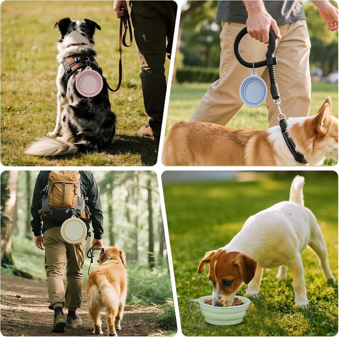 2-Pack Collapsible Dog Bowls