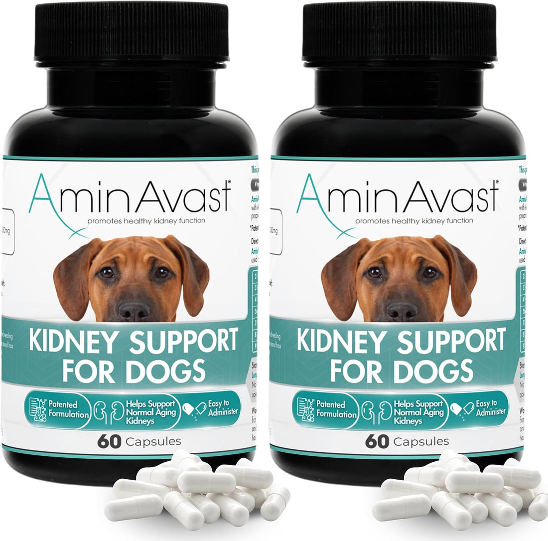 AminAvast 1000 mg Kidney Support for Dogs, 2 Bottles