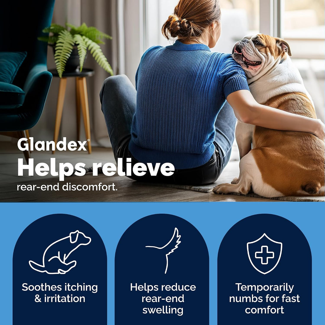 Vetnique Glandex Medicated Dog Butt Wipes or Spray for Dog Scooting