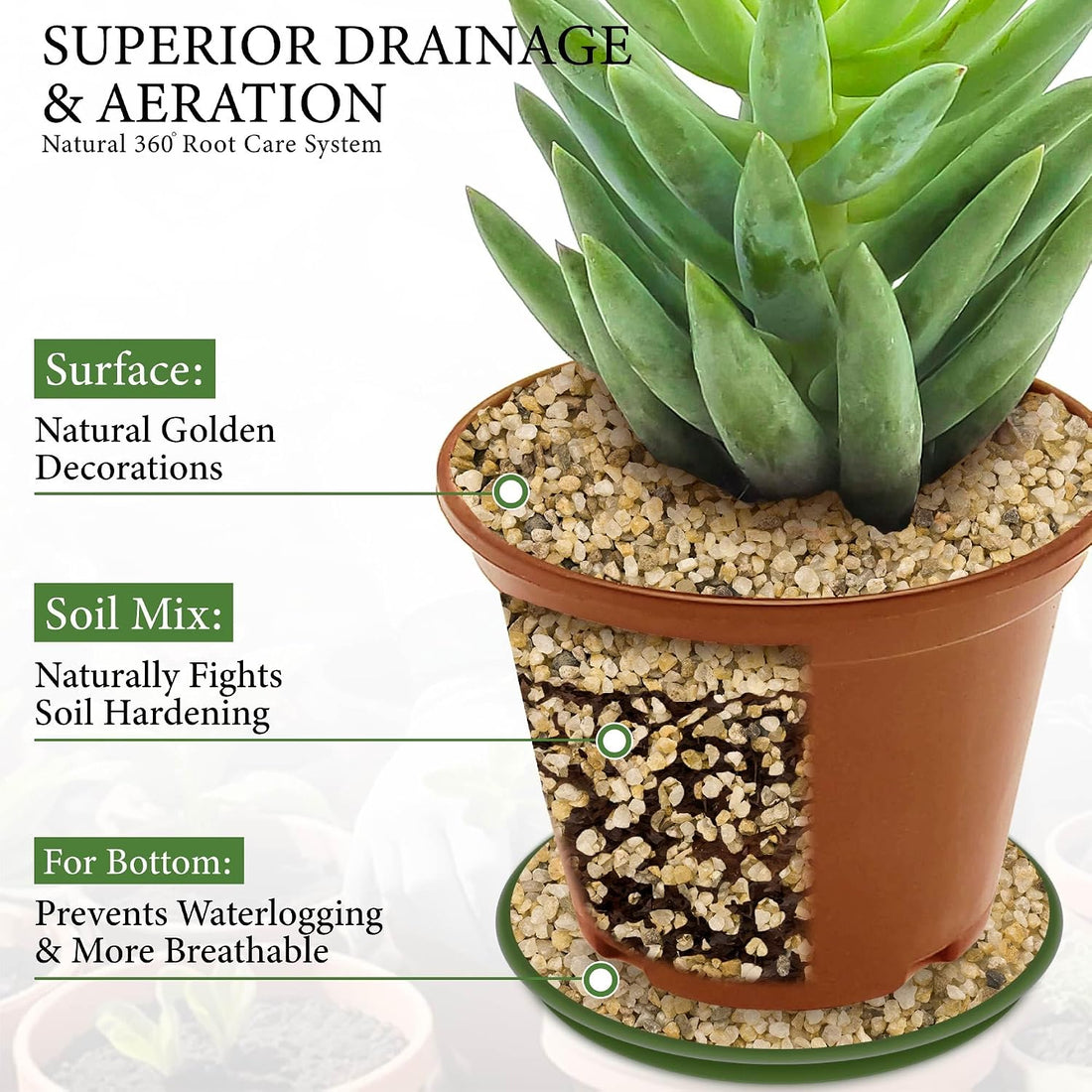 8LB 1-2mm Horticultural Sand for Succulents and Cactus Soil