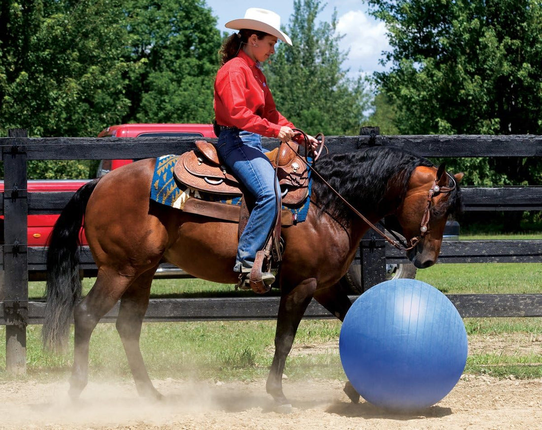 Weaver Leather Stacy Westfall Activity Ball