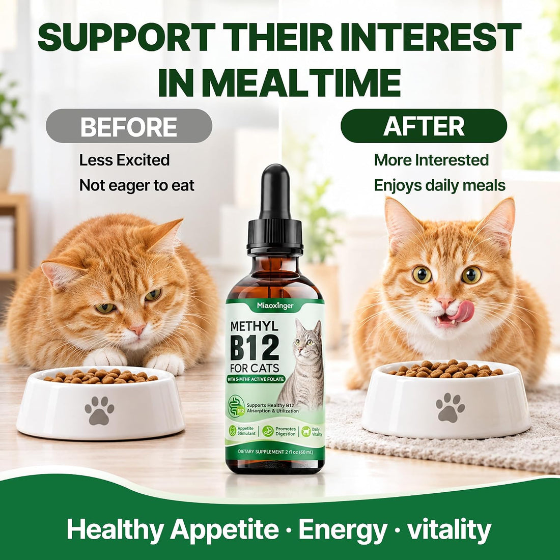 Vitamin B12 for Cats|Superior Methylcobalamin|Developed for B12