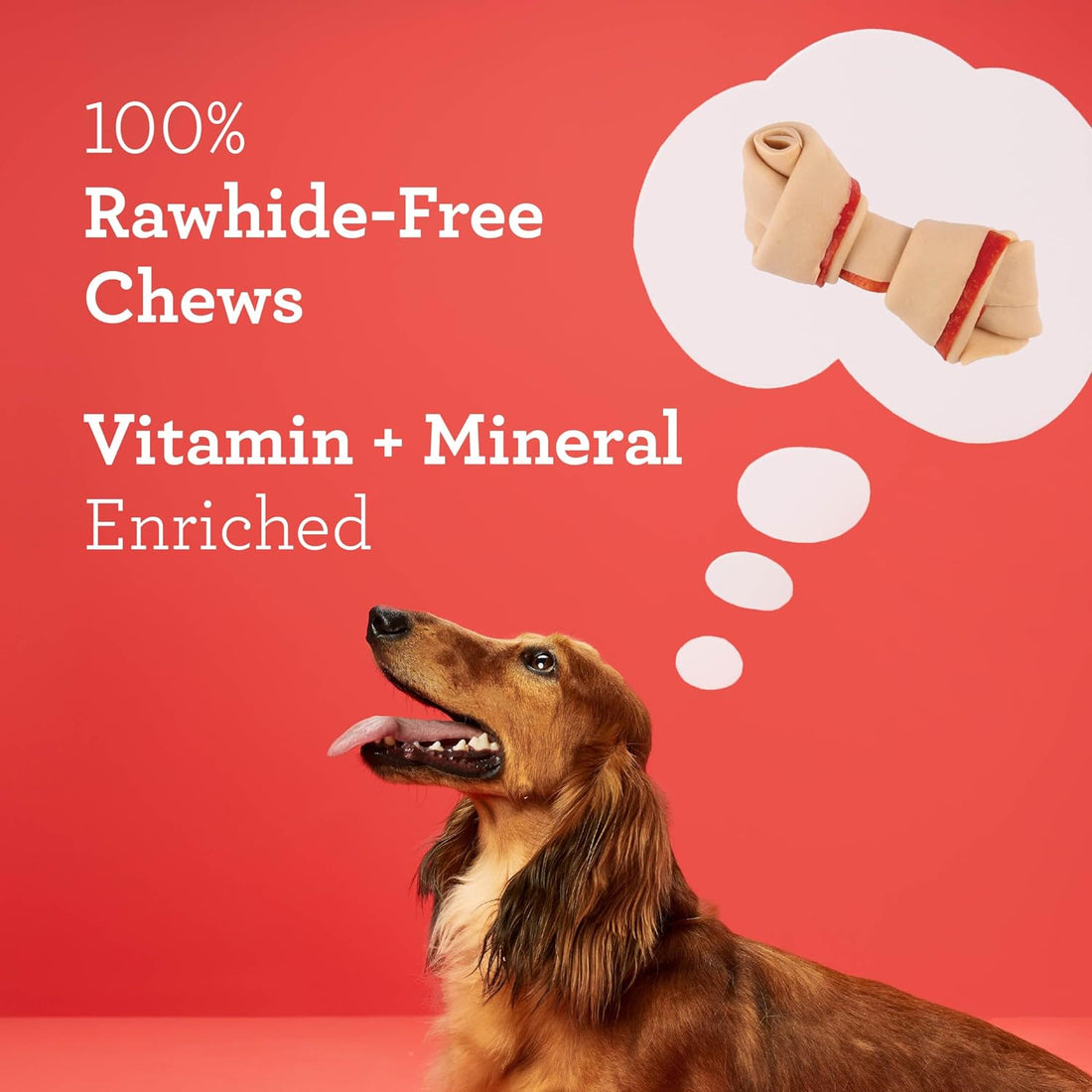 DreamBone Chicken Mini Bone Dog Treats, Daily Rawhide-Free Chew