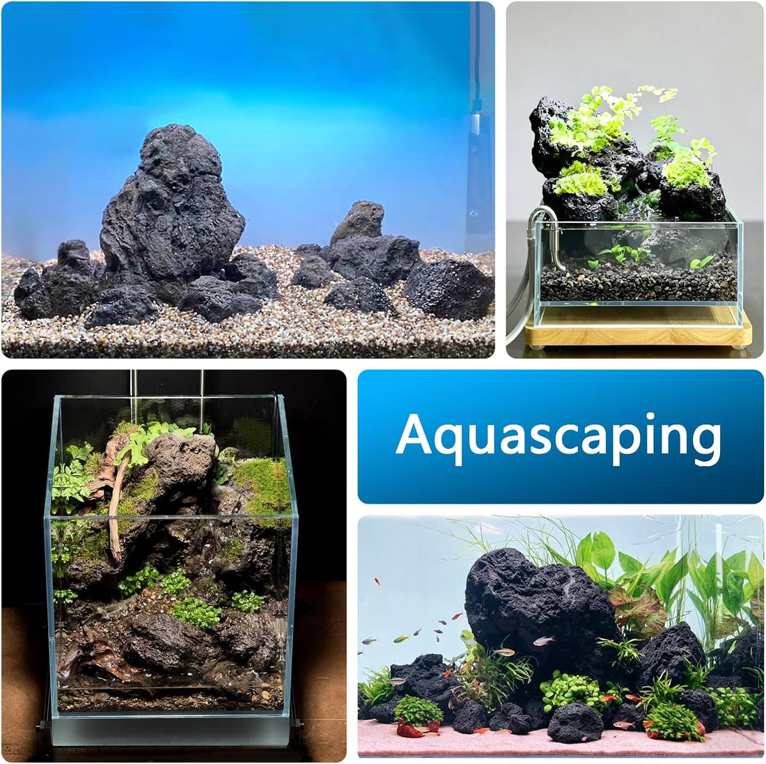 Black Lava Rock Natural Volcanic Stones 4"-6" Aquarium Rocks