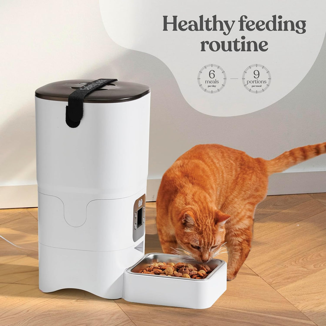 Smart Automatic Cat Feeder - 6-L Reliable Automatic Cat Food