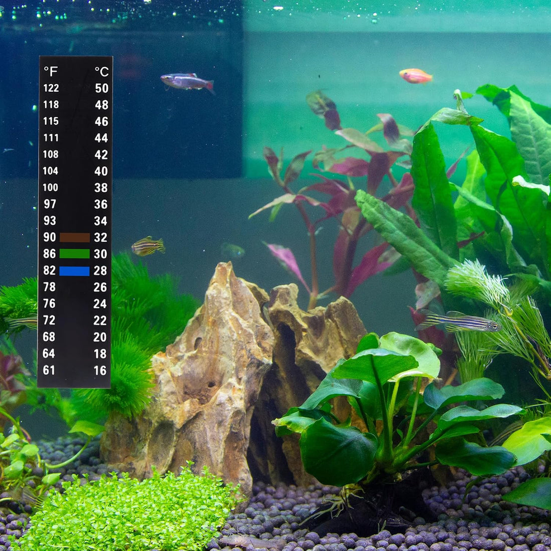 Aquarium Thermometer Strips, Fish Tank Temperature Gauge Stickers