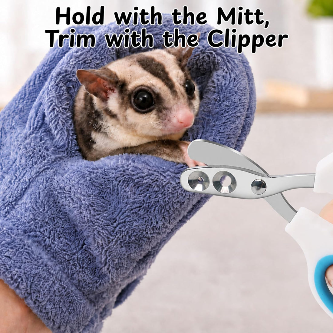Sugar Glider Nail Trimming Kit with Handling Glove and Nail Scissors