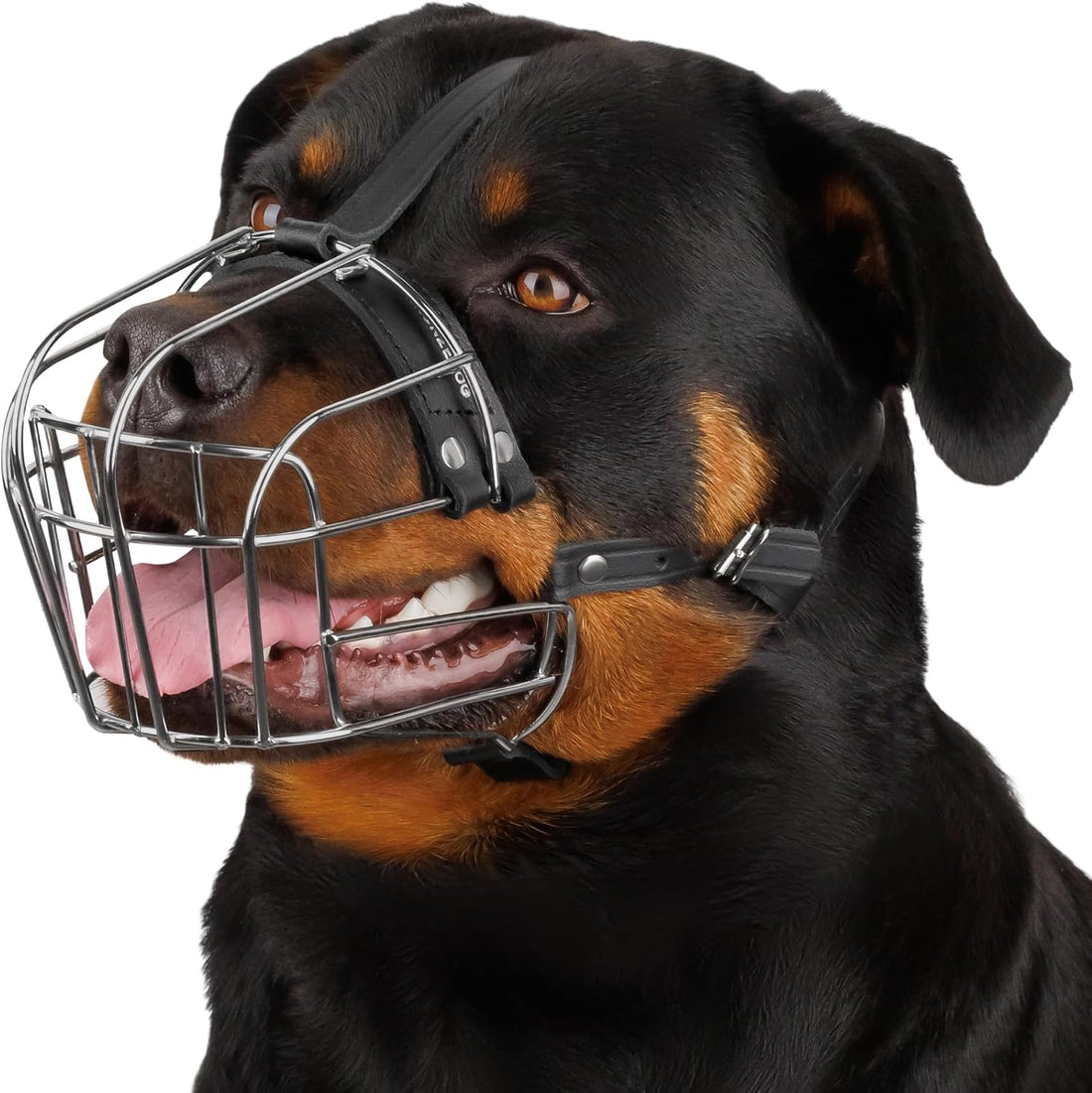BRONZEDOG Stainless Steel Wire Basket Dog Muzzle for Rottweiler