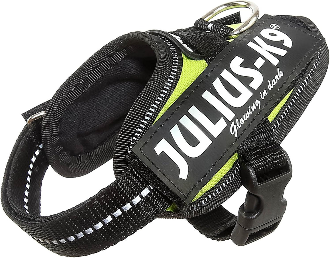 Julius-K9, 16IDC-P-M, IDC Powerharness, Dog Harness, Size: