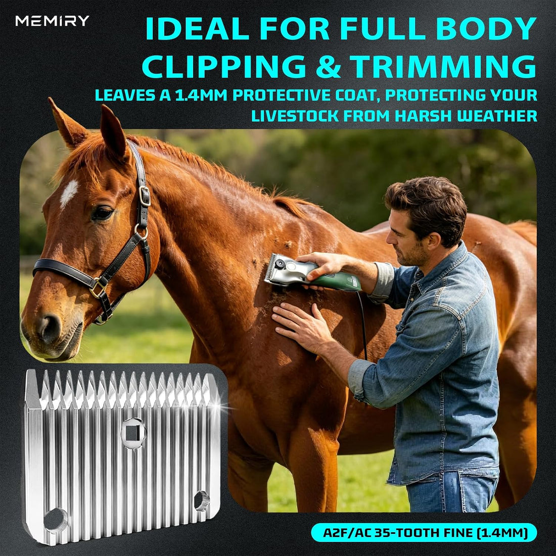 1-Pack A2F/AC Fine Blade Compatible with Lister Clippers