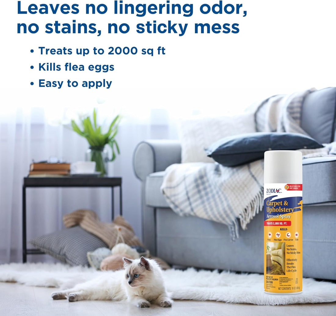 Zodiac Carpet & Upholstery Aerosol Spray, 16-ounce