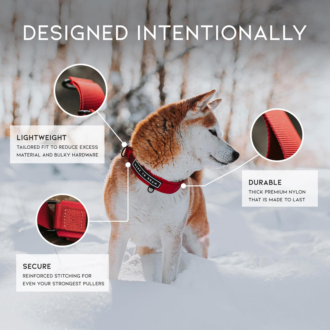 MADE TO ROAM Premium Everyday Dog Collar
