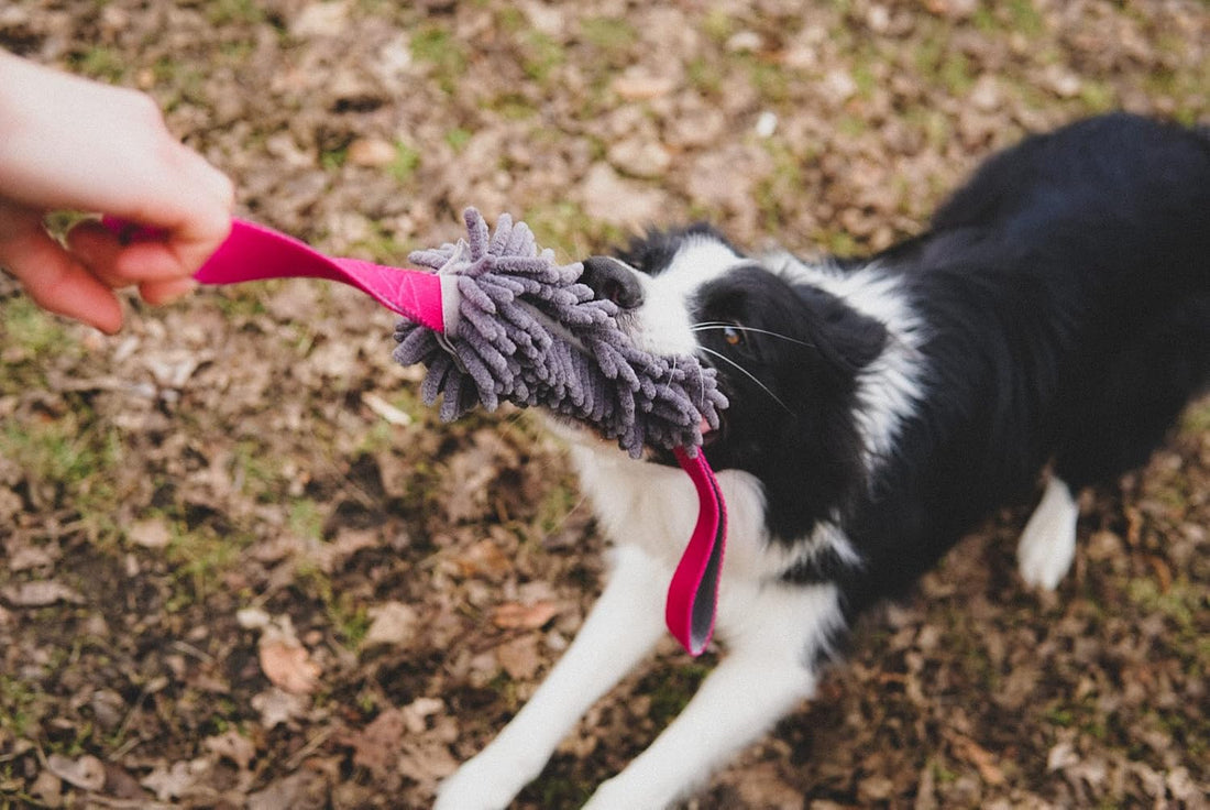 Dingo tug Toy with Handles, Microfiber, Color May Vary 23 in