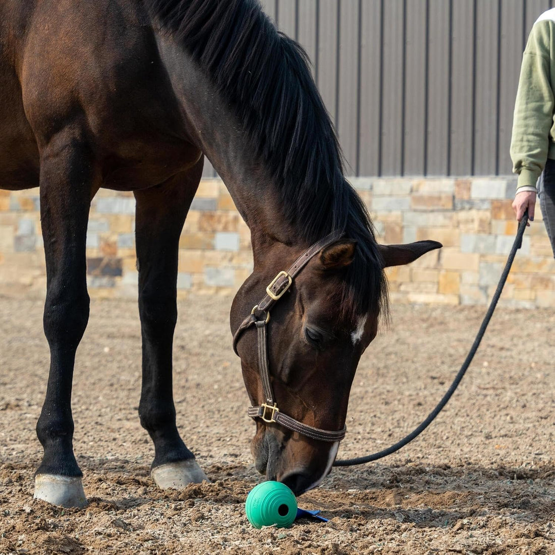 KoreFlex Ball & Tail - Durable Horse Toy & Equine Enrichment Ball