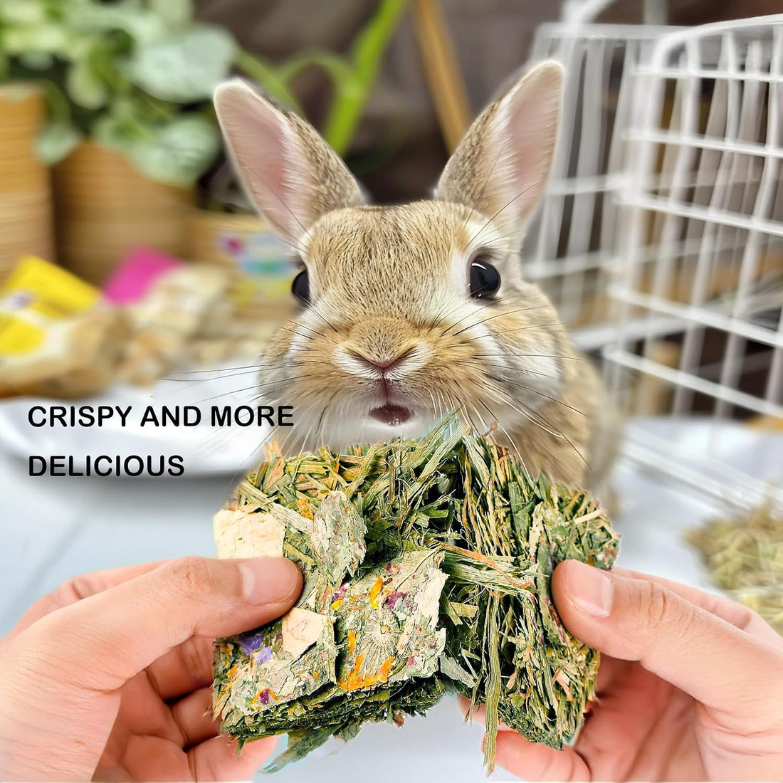 10pcs Rabbit Timothy Hay Chew Toys with Herbal Flowers for Small Pets