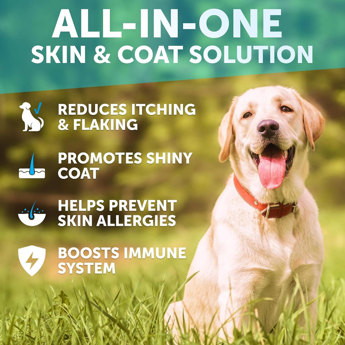 Omega 3 Fish Oil for Dogs - Dog Allergy Chews