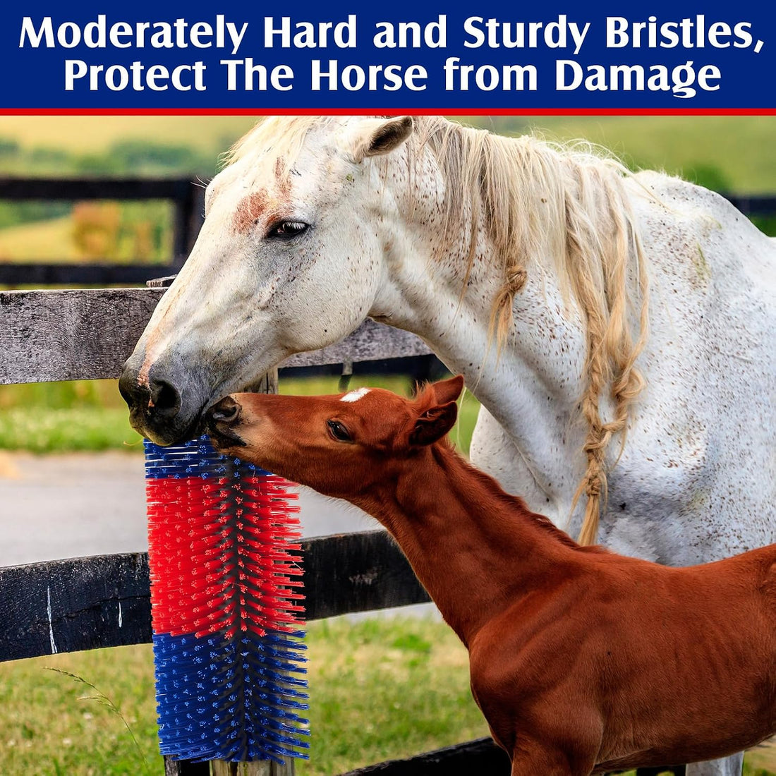 3 Pack Livestock Scratching Brush