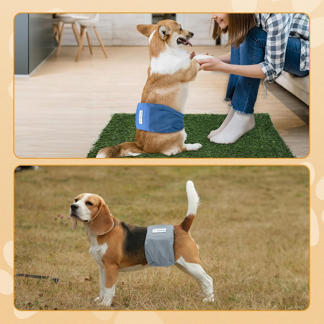 Teamoy Reusable Wrap Diapers for Male Dogs