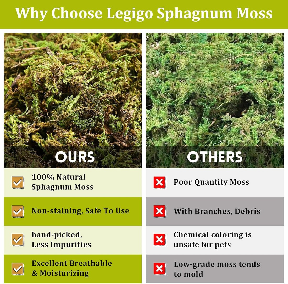 Legigo 14OZ Natural Sphagnum Moss for Reptile Terrarium Substrate